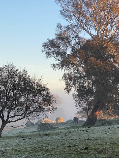 Happy Birthday……….